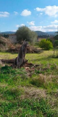 Terreno edificabile esclusivo a Ses Paisses
