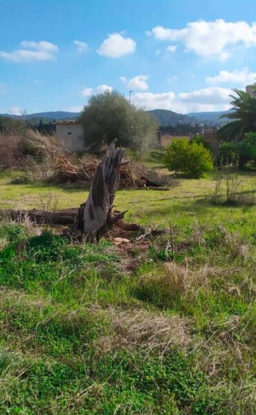 Exclusive Building Plot in Ses Paisses