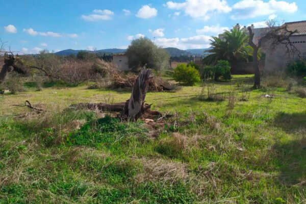 Terrain à bâtir exclusif à Ses Paisses