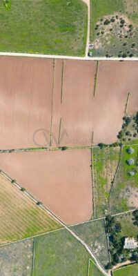 Terreno esclusivo con licenza edilizia a El Pilar de la Mola