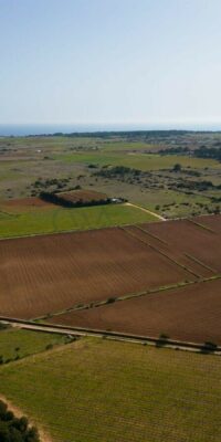 Terreno esclusivo con licenza edilizia a El Pilar de la Mola