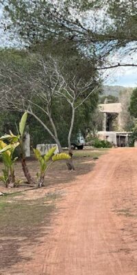 Finca Vicent près de Cala San Vicente