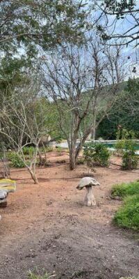 Finca Vicent près de Cala San Vicente