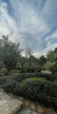 Finca Vicent près de Cala San Vicente