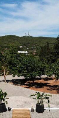 Villa de luxe avec vue sur la campagne à Santa Gertrudis