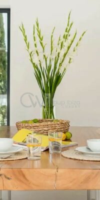 Modern Villa Just Steps from the Sea in Cala Pada