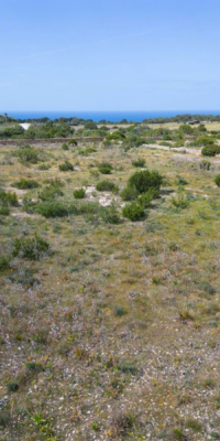 Deux terrains avec un projet approuvé à La Mola, Formentera