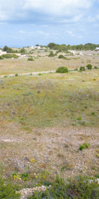 Deux terrains avec un projet approuvé à La Mola, Formentera