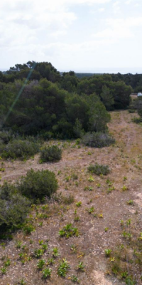 Deux terrains avec un projet approuvé à La Mola, Formentera