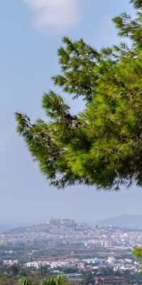 Luxusvilla in Can Furnet mit 5 Schlafzimmern