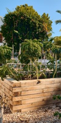 500 jaar oude eco-luxe finca met 7 slaapkamers