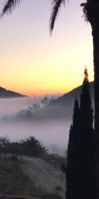 Résidence de plain-pied avec vue sur la verdure