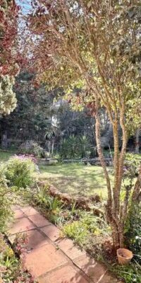 Tranquil Ibicencan-Style Finca with Nice Views