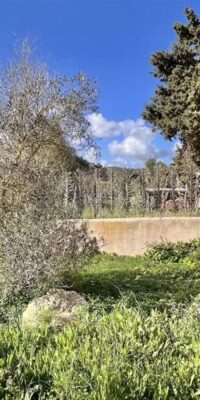 Tranquilla finca in stile ibizenco con vista spettacolare