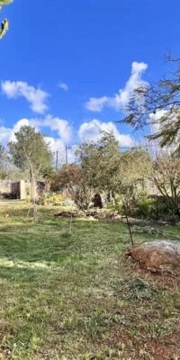 Tranquilla finca in stile ibizenco con vista spettacolare