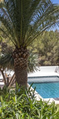 Villa méditerranéenne avec piscine à débordement à Can Furnet