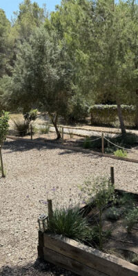 Authentische Finca mit Nebengebäuden und Vermietungslizenz Authentische Finca mit Nebengebäuden und Vermietungslizenz