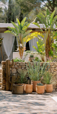 Authentische Finca mit Nebengebäuden und Vermietungslizenz Authentische Finca mit Nebengebäuden und Vermietungslizenz