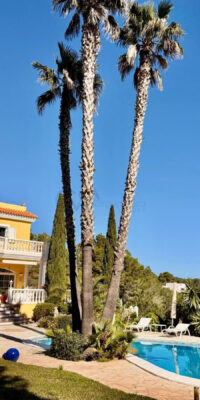 Villa in San Carlos de Peralta, Ibiza Villa in San Carlos de Peralta, Ibiza