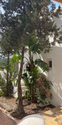 Cala Vadella Townhouse with stunning views for sale