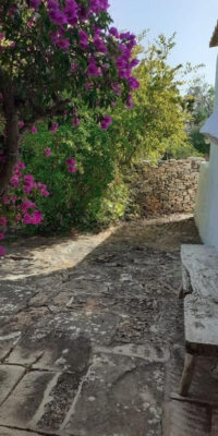 Charming House with Pool and Tourist License in Formentera Charming House with Pool and Tourist License in Formentera