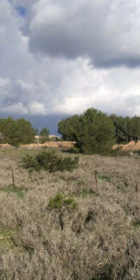 Exceptional Plot in El Pilar de la Mola, Formentera