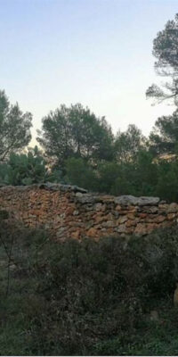 Exceptional Plot in El Pilar de la Mola, Formentera