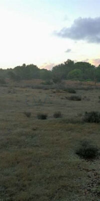 Exceptional Plot in El Pilar de la Mola, Formentera