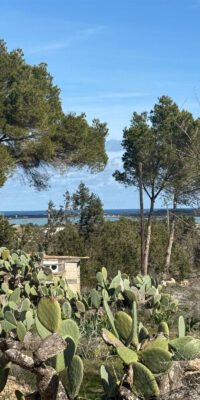 Rustic Plot with Existing Building in Porto Salé