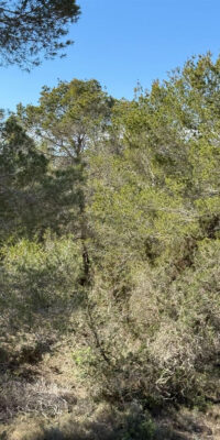 Rustic Plot with Existing Building in Porto Salé