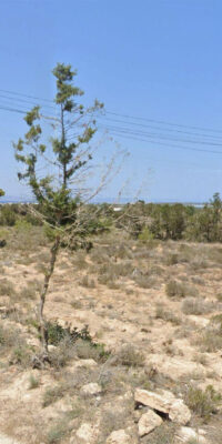 Spectacular Sea View Estate in Porto-Salè, Formentera