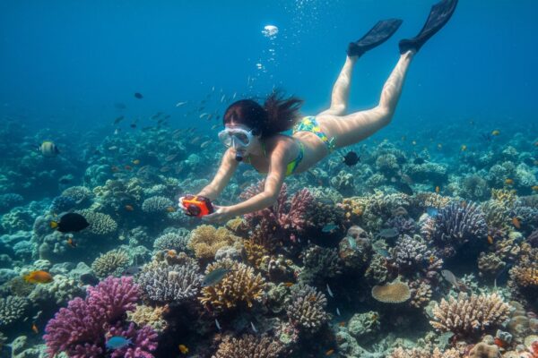 Cose da fare a Ibiza – Attrazioni