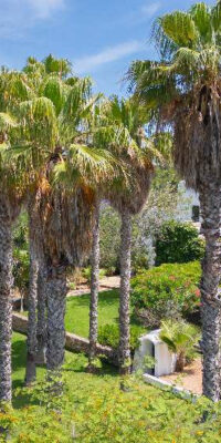 Elegant Finca with Guest House & Nica Morna Valley Views Elegant Finca with Guest House & Nica Morna Valley Views