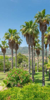 Elegant Finca with Guest House & Nica Morna Valley Views Elegant Finca with Guest House & Nica Morna Valley Views