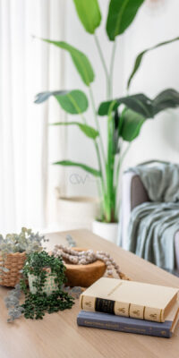 Renovated Apartment in Ibiza Town with Rental Licence Renovated Apartment in Ibiza Town with Rental Licence