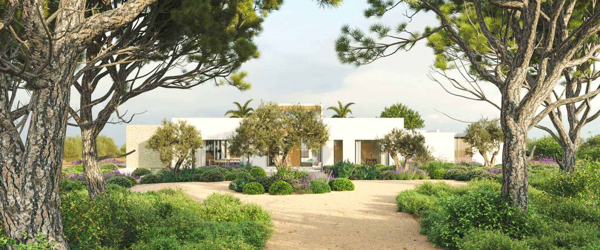 Rustic Plot with Approved License for a Contemporary Villa in Santa Eulalia
