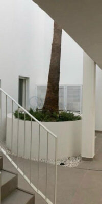 Stylish Apartment with Terrace Garage and Pool in Sant Antonio Stylish Apartment with Terrace Garage and Pool in Sant Antonio