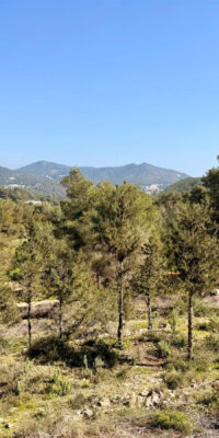Plot for a 6 bedroom house in Roca Llisa Plot for a 6 bedroom house in Roca Llisa
