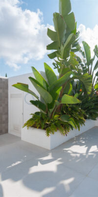 Villa de lujo en alquiler con vistas desde la azotea en Sa Carroca Villa de lujo en alquiler con vistas desde la azotea en Sa Carroca