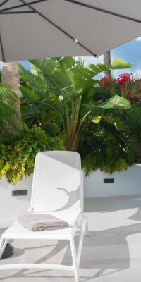 Villa de lujo en alquiler con vistas desde la azotea en Sa Carroca Villa de lujo en alquiler con vistas desde la azotea en Sa Carroca