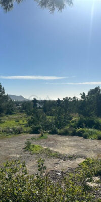 Serene multi-unit country estate to renovate Serene multi-unit country estate to renovate