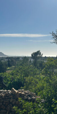 Serene multi-unit country estate to renovate Serene multi-unit country estate to renovate