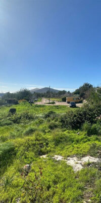 Serene multi-unit country estate to renovate Serene multi-unit country estate to renovate