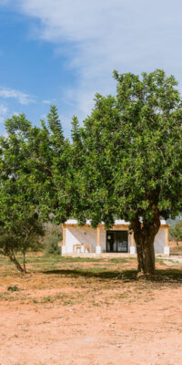 Luxus-Mietvilla mit Gästehaus in Sant Jordi Luxus-Mietvilla mit Gästehaus in Sant Jordi