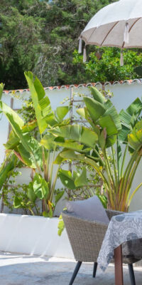 Authentic Ibiza Finca with rooftop terrace in Ses Salines Authentic Ibiza Finca with rooftop terrace in Ses Salines