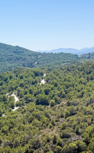 Exclusive Building Plot with Spectacular Sea Views to Formentera in Roca Llisa (1)