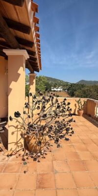 Property with exceptional renovation potential and full privacy Property with exceptional renovation potential and full privacy