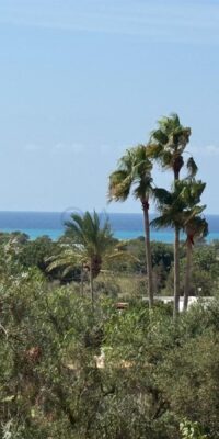 Property with exceptional renovation potential and full privacy Property with exceptional renovation potential and full privacy